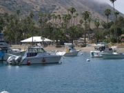 Missys Catalina 2005 00260.jpg: 2005/07/25 Heinekin's Catalina Pics - 2005